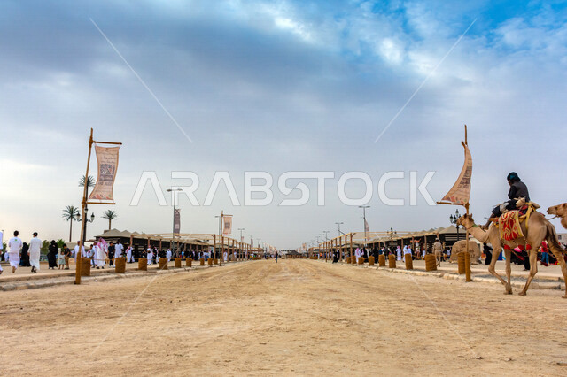 صورة جمالية لمجموعة من الجمال في المهرجان العربي السنوي سوق عكاظ التاريخي بالطائف ، جمال السياحة في مدينة الطائف في المملكة العربية السعودية ، فعاليات و أنشطة ترفيهية ثقافية عربية قديمة تقليدية سعودية ، المملكة العربية السعودية