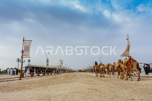 صورة جمالية لمجموعة من الجمال في المهرجان العربي السنوي سوق عكاظ التاريخي بالطائف ، جمال السياحة في مدينة الطائف في المملكة العربية السعودية ، فعاليات و أنشطة ترفيهية ثقافية عربية قديمة تقليدية سعودية ، المملكة العربية السعودية