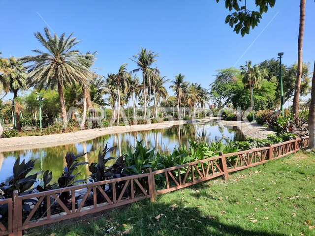 منتزه بحيرة ينبع في النهار، الاهتمام بزراعة الأشجار في الحدائق الطبيعية، الحفاظ على البيئة والتنمية المستدامة، حديقة ومنتزه طبيعي سياحي في المملكة العربية السعودية، وجهه عائلية بيئية وترفيهية