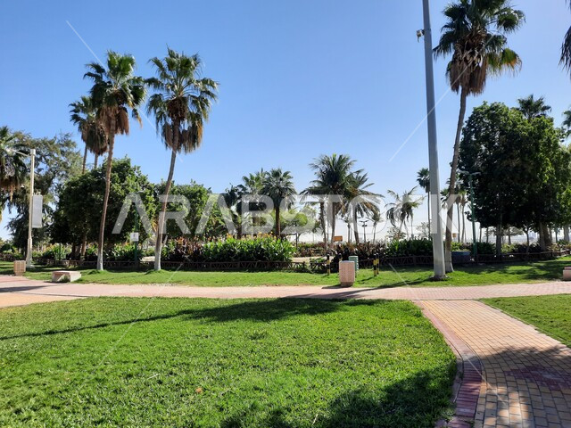 Interest in planting trees in natural parks, environmental conservation and sustainable development, walking and strolling path in Yanbu Lake Park during the day, a natural tourist park and garden in the Kingdom of Saudi Arabia, an environmental and recreational family destination