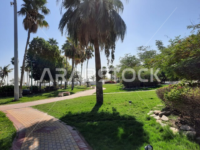 ممر التجول والمشي في منتزه بحيرة ينبع في النهار، الاهتمام بزراعة الأشجار في الحدائق الطبيعية، الحفاظ على البيئة والتنمية المستدامة، حديقة ومنتزه طبيعي سياحي في المملكة العربية السعودية، وجهه عائلية بيئية وترفيهية