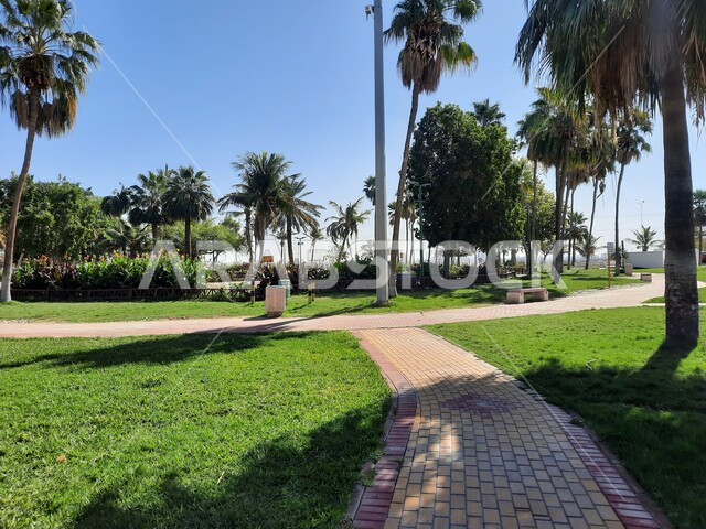A natural tourist park and garden in the Kingdom of Saudi Arabia, interest in planting trees in natural parks, environmental conservation and sustainable development, a walking and strolling path in Yanbu Lake Park during the day, an environmental and recreational family destination