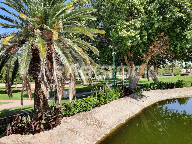 الحفاظ على البيئة والتنمية المستدامة، حديقة ومنتزه طبيعي سياحي في المملكة العربية السعودية، وجهه عائلية بيئية وترفيهية، المسطحات المائية في منتزه بحيرة ينبع في النهار، الاهتمام بزراعة الأشجار في الحدائق الطبيعية