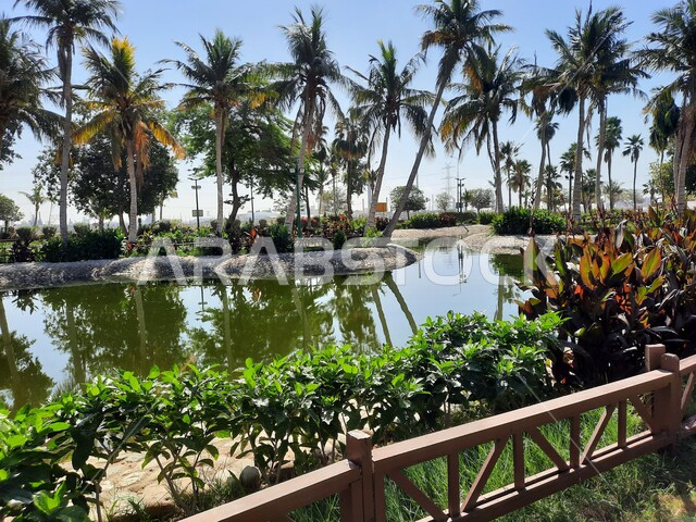 حديقة ومنتزه طبيعي سياحي في المملكة العربية السعودية، وجهه عائلية بيئية وترفيهية، الحفاظ على البيئة والتنمية المستدامة، المسطحات المائية في منتزه بحيرة ينبع في النهار، الاهتمام بزراعة الأشجار في الحدائق الطبيعية