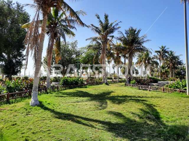 الاهتمام بزراعة الأشجار في الحدائق الطبيعية، الحفاظ على البيئة والتنمية المستدامة، حديقة ومنتزه طبيعي سياحي في المملكة العربية السعودية، وجهه عائلية بيئية وترفيهية، ممر التجول والمشي في منتزه بحيرة ينبع في النهار