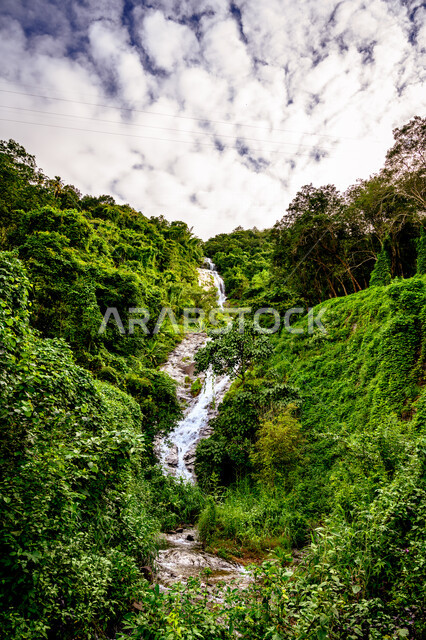 صورة ساحرة لجريان النهر بين الأشجار , الطبيعة الخلابة ، أماكن سياحية , خلفية طبيعة .
