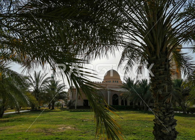 A picture of a mosque in the United Arab Emirates, a building for worship and getting closer to God, the picturesque green nature of the United Arab Emirates