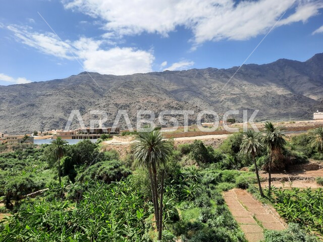 أشجار النخيل والنباتات الخضراء، مكان جذب واستقطاب السائحين، التكوين والتشكيل الصخري للمرتفع الجبلي، التضاريس والجبال الحجرية، قرية الرخام في ذي عين الأثرية، البيوت على قمة الجبل في منطقة الباحة في المملكة العربية السعودية، معلم سياحي مشهور