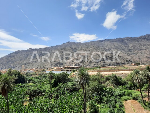 منظر طبيعي متميز للجبل في منطقة الباحة في المملكة العربية السعودية، الاهتمام بزراعة أشجار النخيل الخضراء في قرية الرخام في ذي عين الأثرية, التكوين والتشكيل الصخري للمرتفع الجبلي, معلم سياحي مشهور، مكان جذب واستقطاب السائحين