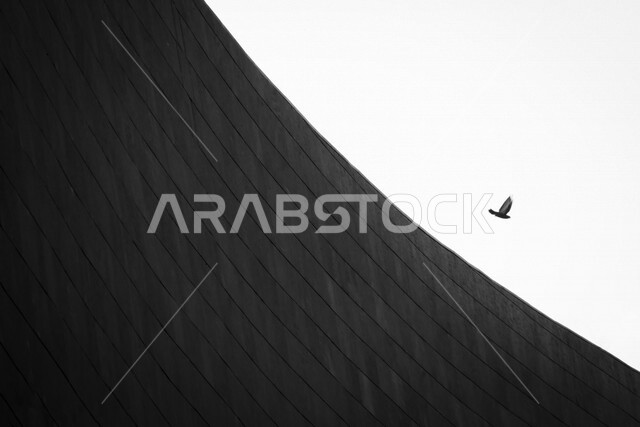 صورة فنية باللون الأبيض والأسود لطائر يحلق عاليا بجناحيه بالسماء في وضح النهار في المملكة العربية السعودية .