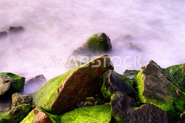 صورة ضبابية للصخور متلونة بالطحالب البحرية بكورنيش جدة في المملكة العربية السعودية , جمال السياحة في ساحل البحر الأحمر , خلفية الطبيعة .  