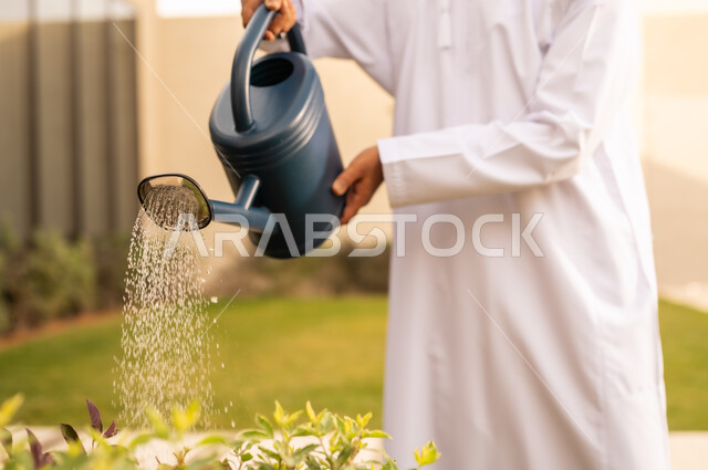 استخدام مرش المياة ، العناية بالنباتات فى الحديقة ، صورة مقربة ليد رجل عربي خليجي عماني يقوم باستخدام وعاء السقي في ري النباتات ، اجواء الطبيعة الخلابة ، مفهوم النظافة والاهتمام بحديقة المنزل .