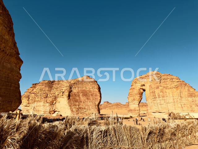 معلم اثري تاريخي قديم، الجبال والتكوينات الصخرية في المناطق الصحراوية، صخرة الفيل في محافظة العلا في النهار، مكان سياحي طبيعي مشهور، التضاريس في القمم والمرتفعات الجبلية، الاستمتاع في صحاري المملكة