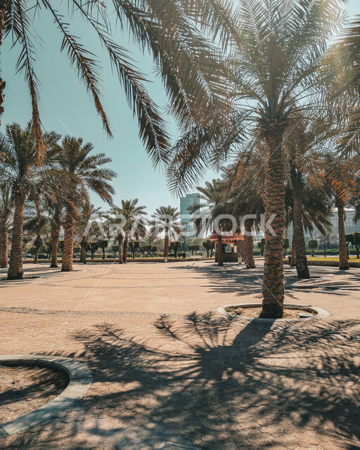 Walking and strolling paths, the view of trees and the natural environment during the day, taking care of public parks and gardens in the State of Kuwait, Marina Walk Park in the Kuwait City area, places and areas for family outings, entertainment and fun