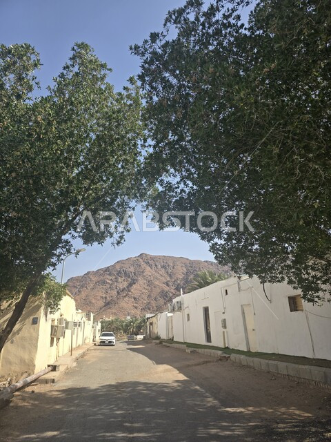 جبل احد في المدينه المنوره في النهار، القمم والمرتفعات الجبلية في المملكة, جذب و استقطاب المسلمين من كافة انحاء العالم، معلم اسلامي تاريخي قديم، السياحه في الاماكن الدينيه المشهورة في السعوديه