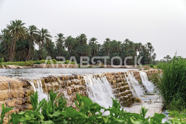 الاهتمام بزراعة النباتات وأشجار النخيل، المنتزهات الترفيهية العامة، المسطحات المائية في شعيب المشقر بمحافظة المجمعة في النهار، مكان سياحي طبيعي في المملكة العربية السعودية، أماكن مناطق عائلية للتنزه والترفيه والمتعة، المناظر الطبيعيه الخضراء