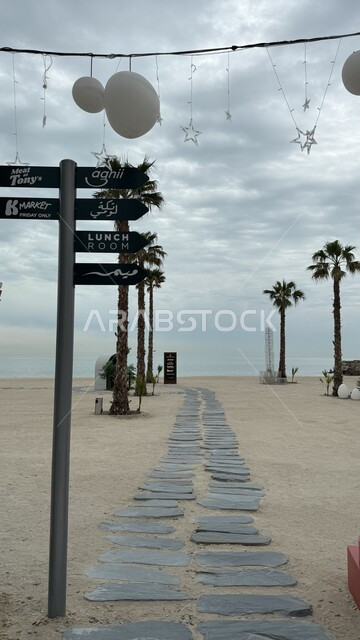 الواجهة البحرية الساحلية لدولة الكويت، كورنيش مدينة الدمام في النهار، الاهتمام بزراعة أشجار النخيل في المدن السياحية، مكان ومعلم سياحي مشهور، جذب واستقطاب السياح من شتى أنحاء العالم