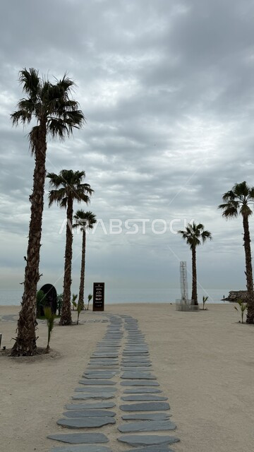 الواجهة البحرية الساحلية لدولة الكويت، كورنيش مدينة الدمام في النهار، الاهتمام بزراعة أشجار النخيل في المدن السياحية، مكان ومعلم سياحي مشهور، جذب واستقطاب السياح من شتى أنحاء العالم