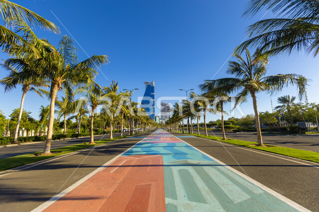 Interest in planting palm trees, bicycle lane on the Jeddah Corniche in Saudi Arabia during the day, towers and skyscrapers overlooking the Red Sea coast, a famous tourist place and area