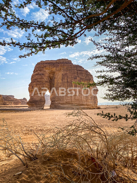 التشكيل و التكوين الصخري في مدينة العلا، صخرة الفيل في المملكة العربية السعودية، الحضارات القديمة والمعالم التاريخية الأثرية، القمم والمرتفعات الجبلية، الأماكن والمناطق الصحراوية المشهورة