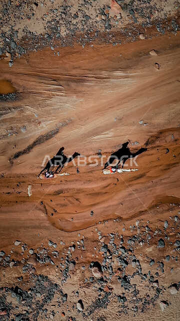 الرمال والكثبان في المناطق الصحراوية، صورة علوية عامودية لرجلين عربيين خليجيين سعوديين يركبان على حيوان الجمل في الصحراء, استخدام الحيوانات للتنقل في البادية من مكان لآخر, تربية المواشي في المحميات الطبيعية, أهمية رعاية الإبل في المملكة العربية السعودية