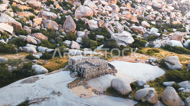 بيت اثري تاريخي قديم، الفن الهندسي المعماري على الطراز القديم من الحجر، الأشجار والنباتات الخضراء على سفوح الجبال في المملكة العربية السعودية، معلم تراثي على القمم والمرتفعات الجبلية، قلعة قديمة على سفوح الجبال