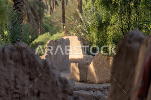 محمية طبيعية لزراعة أشجار النخيل, محاصيل زراعية ومنتجات محلية وطنية, موسم حصاد التمور, معالم محافظة العلا السياحية, المزراع والاراضي الزراعية في المملكة العربية السعودية, الطبيعة في القمم والمرتفعات الجبلية، المباني المبنية من الطين والطوب