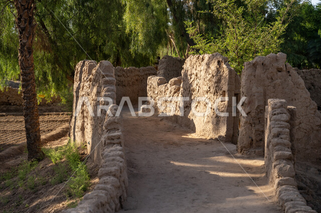 A natural reserve for palm tree cultivation, agricultural crops and local national products, the date harvest season, tourist attractions in Al-Ula Governorate, farms and agricultural lands in the Kingdom of Saudi Arabia, nature in the mountain peaks and heights, buildings built of mud and brick