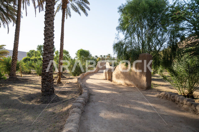 محمية طبيعية لزراعة أشجار النخيل, محاصيل زراعية ومنتجات محلية وطنية, موسم حصاد التمور, معالم محافظة العلا السياحية, المزراع والاراضي الزراعية في المملكة العربية السعودية, الطبيعة في القمم والمرتفعات الجبلية، المباني المبنية من الطين والطوب