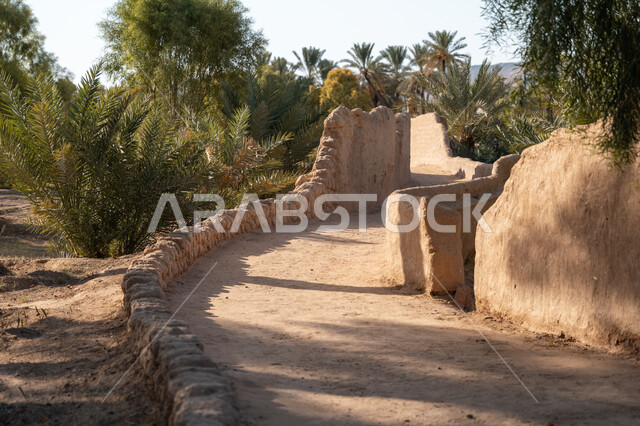 محمية طبيعية لزراعة أشجار النخيل, محاصيل زراعية ومنتجات محلية وطنية, موسم حصاد التمور, معالم محافظة العلا السياحية, المزراع والاراضي الزراعية في المملكة العربية السعودية, الطبيعة في القمم والمرتفعات الجبلية، المباني المبنية من الطين والطوب