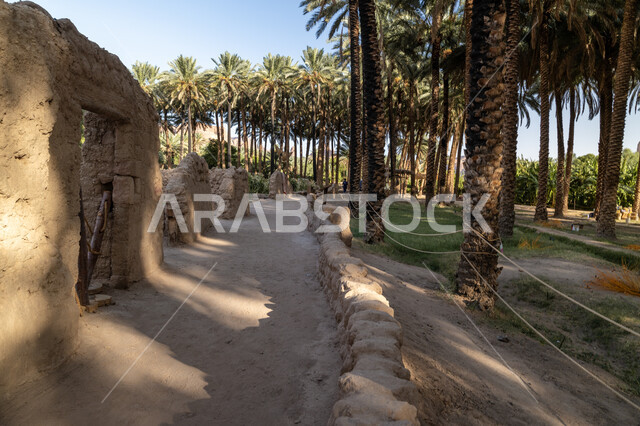 محمية طبيعية لزراعة أشجار النخيل, محاصيل زراعية ومنتجات محلية وطنية, موسم حصاد التمور, معالم محافظة العلا السياحية, المزراع والاراضي الزراعية في المملكة العربية السعودية, الطبيعة في القمم والمرتفعات الجبلية، المباني المبنية من الطين والطوب