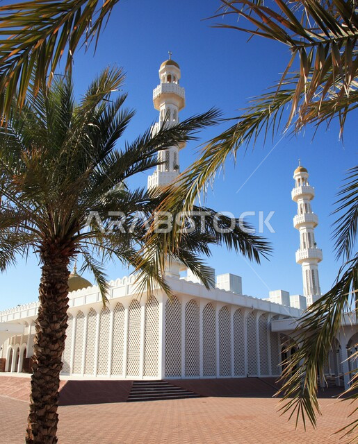 مسجد الشيخ زايد الكبير في مدينة أبو ظبي في النهار، الفن الهندسي المعماري الإسلامي لمساجد الإمارات، التصاميم المعمارية الاسلامية للأماكن الدينية الإسلامية في الإمارات العربية المتحدة