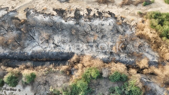 التأثر بأشعة الشمس، الجفاف والحرارة المرتفعة، صورة علوية للوادي الاخضر المحترق في جدة، اماكن طبيعية في المملكة العربية السعودية 