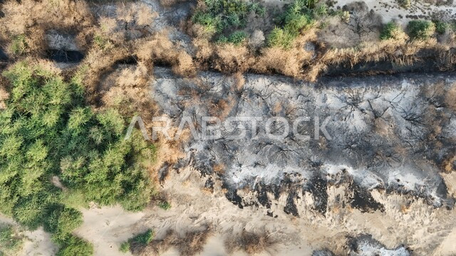 التأثر بأشعة الشمس، الجفاف والحرارة المرتفعة، صورة علوية للوادي الاخضر المحترق في جدة، اماكن طبيعية في المملكة العربية السعودية 