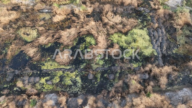 التأثر بأشعة الشمس، الجفاف والحرارة المرتفعة، صورة علوية للوادي الاخضر المحترق في جدة، اماكن طبيعية في المملكة العربية السعودية 