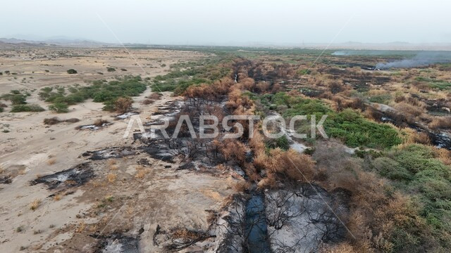 التأثر بأشعة الشمس، الجفاف والحرارة المرتفعة، صورة علوية للوادي الاخضر المحترق في جدة، اماكن طبيعية في المملكة العربية السعودية 
