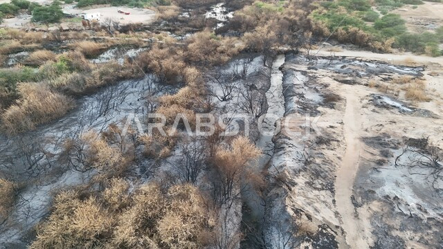 التأثر بأشعة الشمس، الجفاف والحرارة المرتفعة، صورة علوية للوادي الاخضر المحترق في جدة، اماكن طبيعية في المملكة العربية السعودية 