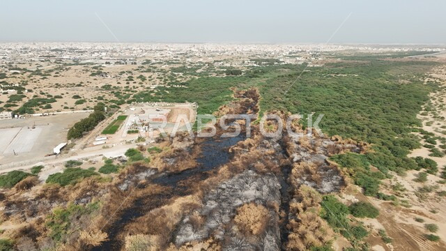 التأثر بأشعة الشمس، الجفاف والحرارة المرتفعة، صورة علوية للوادي الاخضر المحترق في جدة، اماكن طبيعية في المملكة العربية السعودية 