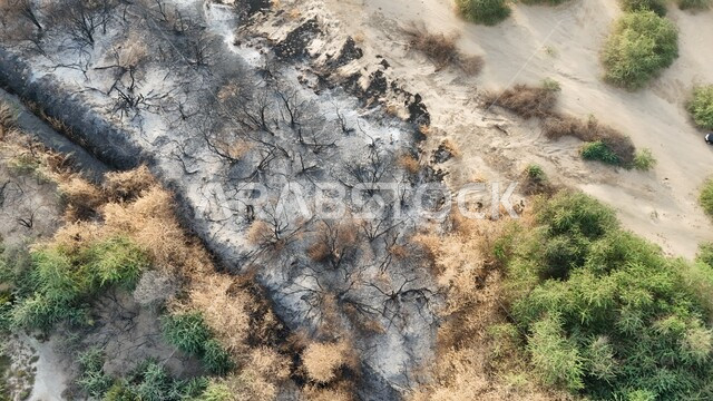 التأثر بأشعة الشمس، الجفاف والحرارة المرتفعة، صورة علوية للوادي الاخضر المحترق في جدة، اماكن طبيعية في المملكة العربية السعودية 