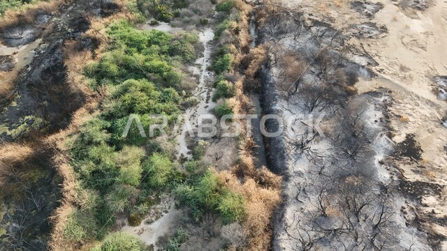 التأثر بأشعة الشمس، الجفاف والحرارة المرتفعة، صورة علوية للوادي الاخضر المحترق في جدة، اماكن طبيعية في المملكة العربية السعودية 