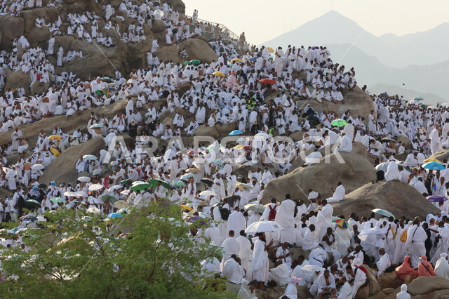 آدء مناسك الحج في يوم عرفة, مقصد المسلمين من أنحاء العالم, مكان ومعلم إسلامي ديني مقدس في المملكة العربية السعودية، حشود الحجاج على جبل عرفات، مفهوم العبادة والتقرب إلى الله، الحجاج والمعتمرين في مكة المكرمة