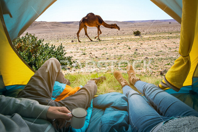 سائحان يجلسان داخل خيمة مطلة على صحراء المملكة العربية السعودية ، الاستمتاع بمشاهدة الجمال ، رحلة سفاري في الصحراء ، السياحة في السعودية ، رحلة سياحية