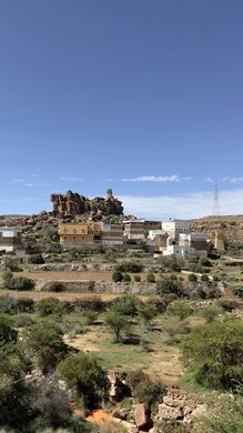 View of trees, plants and herbs in the city of Abha, cities and tourist places in the Kingdom of Saudi Arabia, lands and wide green spaces, sky full of white clouds, nature background