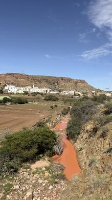 View of trees, plants and herbs in the city of Abha, cities and tourist places in the Kingdom of Saudi Arabia, lands and wide green spaces, sky full of white clouds, nature background