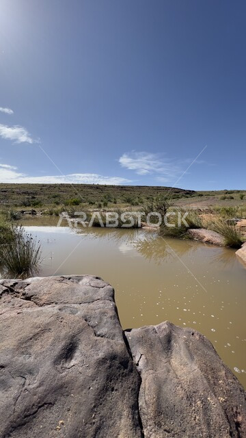الشجر والنبات المغطي سفوح الجبل، التضاريس والبيئة الجبلية لمنطقة أبها، منتزه الحبلة في عسير، الطبيعة والمنتزهات والحدائق الخضراء، سلاسل الجبال الصخرية والقمم العالية في النهار،  أماكن طبيعية للمغامرات ورحلات السفاري والاستمتاع