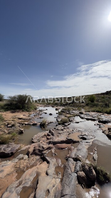 الشجر والنبات المغطي سفوح الجبل، التضاريس والبيئة الجبلية لمنطقة أبها، منتزه الحبلة في عسير، الطبيعة والمنتزهات والحدائق الخضراء، سلاسل الجبال الصخرية والقمم العالية في النهار،  أماكن طبيعية للمغامرات ورحلات السفاري والاستمتاع