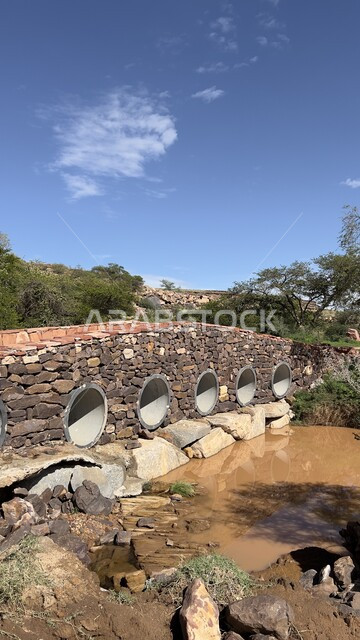 الشجر والنبات المغطي سفوح الجبل، التضاريس والبيئة الجبلية لمنطقة أبها، منتزه الحبلة في عسير، الطبيعة والمنتزهات والحدائق الخضراء، سلاسل الجبال الصخرية والقمم العالية في النهار،  أماكن طبيعية للمغامرات ورحلات السفاري والاستمتاع