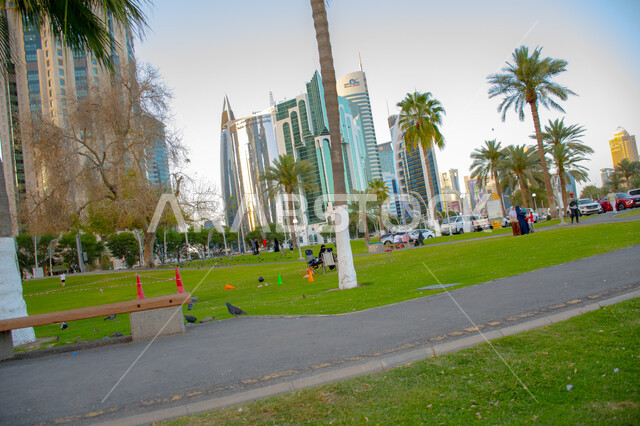 نمو الاشجار في كورنيش الدوحة، الاهتمام بزراعة الاشجار والنباتات الخضراء، منظر طبيعي متميز، المساحات الخضراء الواسعة لجذب السياح, قضاء وقت ممتع في الهواء الطلق