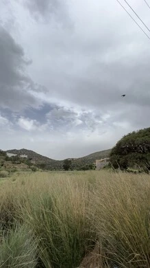 Al-Soudah Park in Asir, nature, parks and green gardens, rocky mountain ranges and high peaks during the day, natural places for adventures, safaris and enjoyment, trees and plants covering the mountain slopes, terrain and mountainous environment of the Abha region