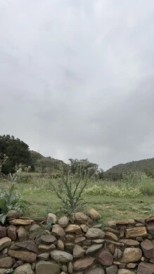 Al-Soudah Park in Asir, nature, parks and green gardens, rocky mountain ranges and high peaks during the day, natural places for adventures, safaris and enjoyment, trees and plants covering the mountain slopes, terrain and mountainous environment of the Abha region